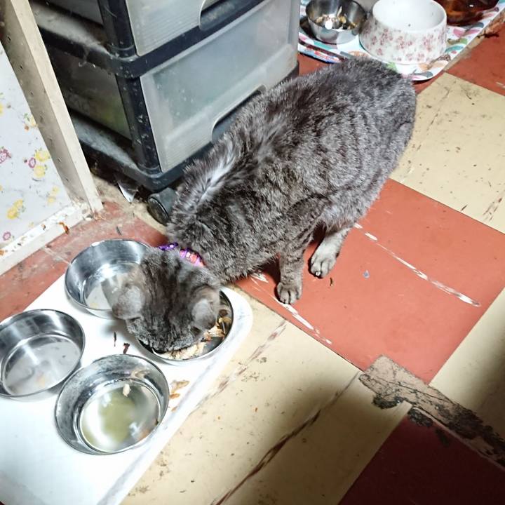 4bf26aad 6cdc 4e65 b5a0 4cecb220bb41 1593718106214