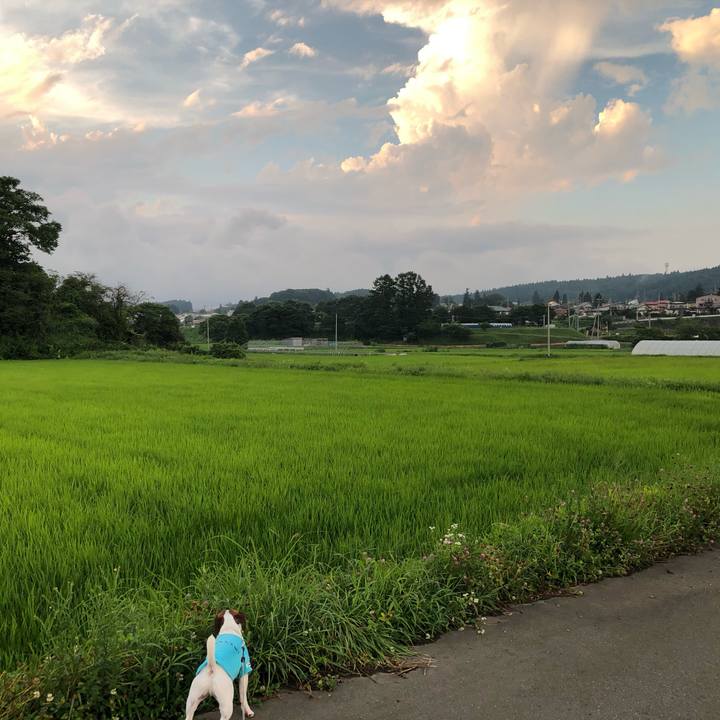 4bf28c08 6bc9 45b7 991d e32edea38c48 1565268674624