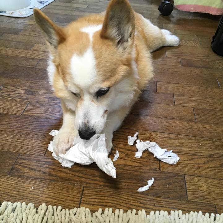 4bf2a03c e83b 4da1 8776 f6189bbf843d 1525742656360