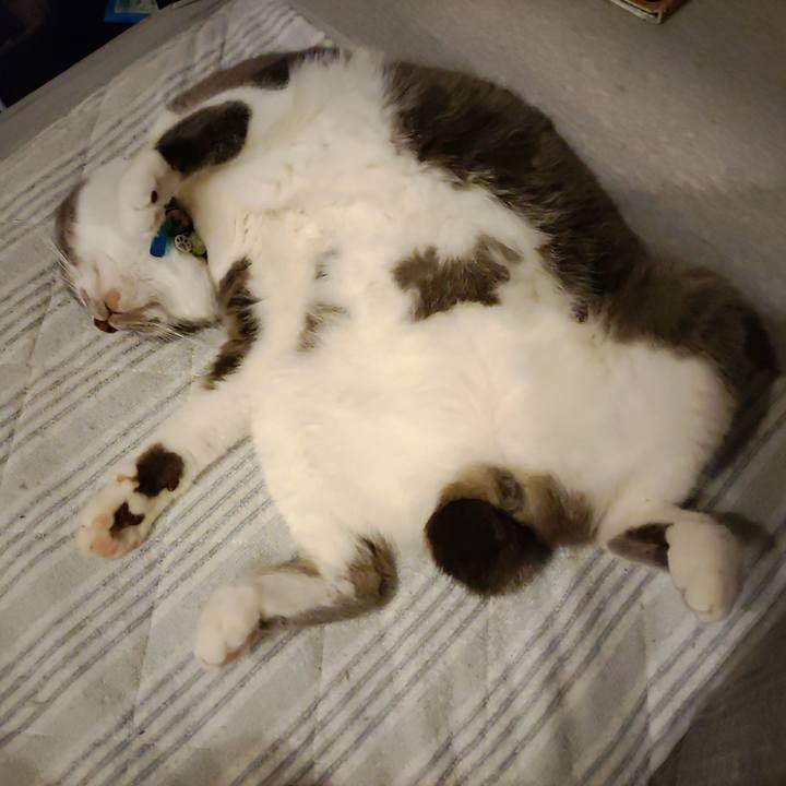 4bf2bba8 3274 4b22 8104 8f000d34ad9f 1716804864081