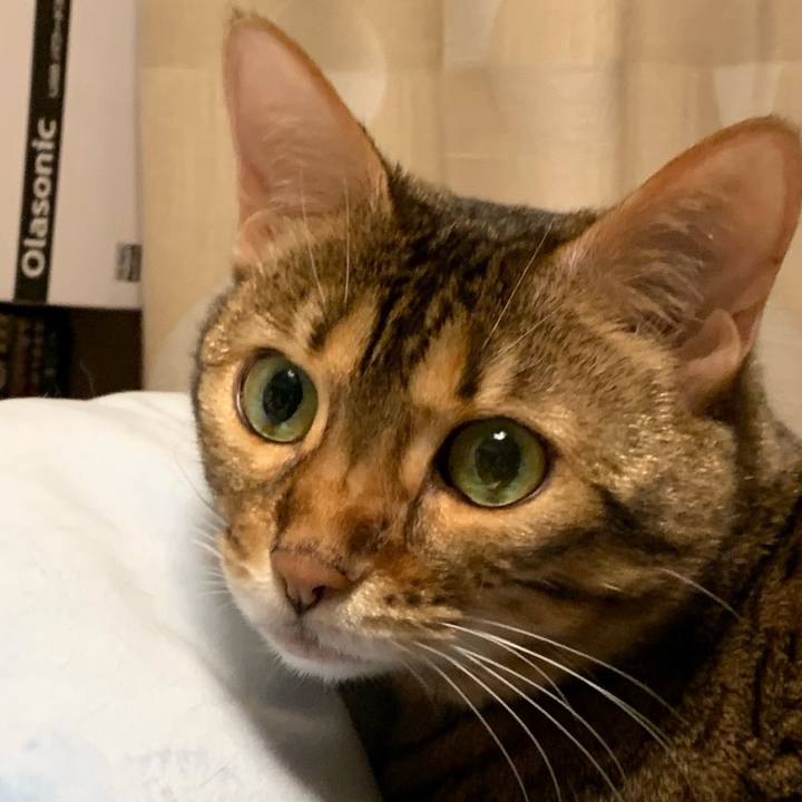 4bf2cc03 f119 4a84 8f70 b9c69a771174 1626496501670