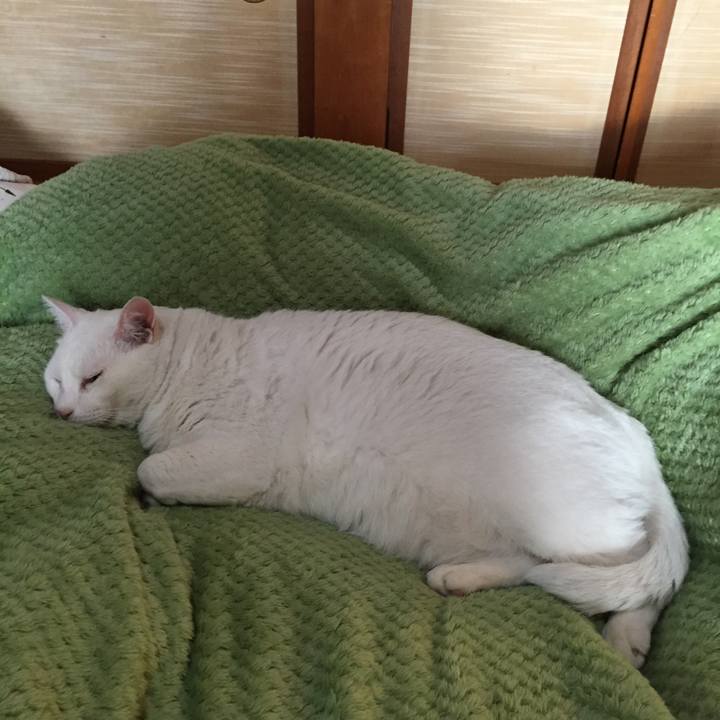 4bf2d7ac 9267 48a4 a0e1 e91b3cb39782 1543444355878