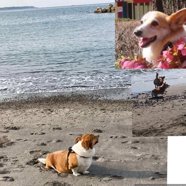 4bf2f216 8f7c 4daf 9159 4f0938642bda 1682258755056