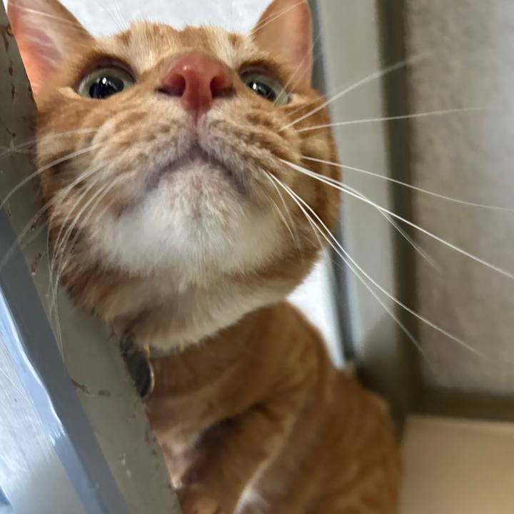 4bf30d45 92fe 445b bf7d adc41cf33332 1692000657176