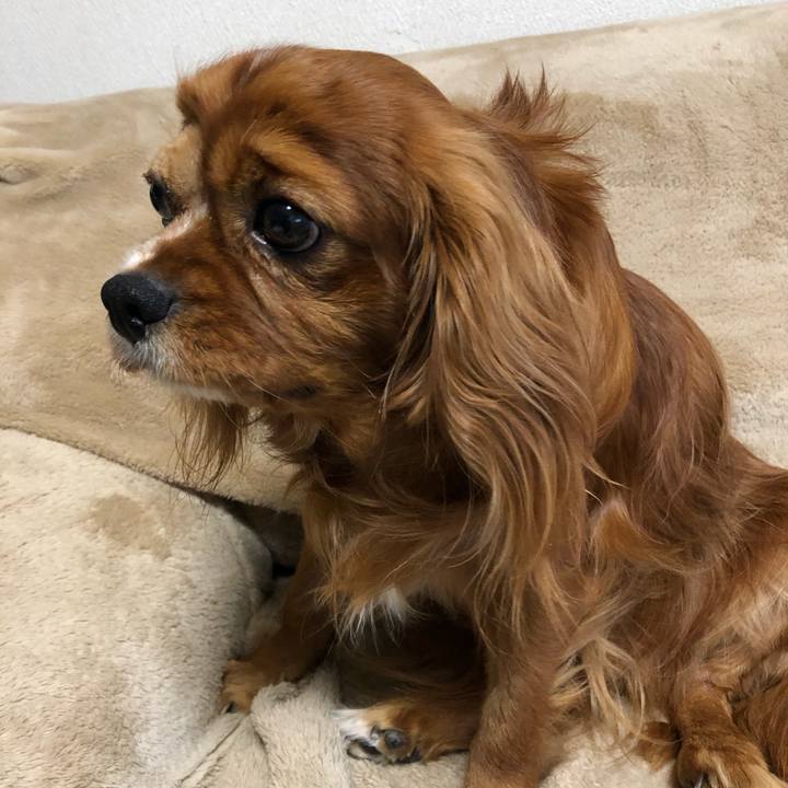 4bf32f06 4baa 4520 aa18 06d1c37a2c2f 1582669839983