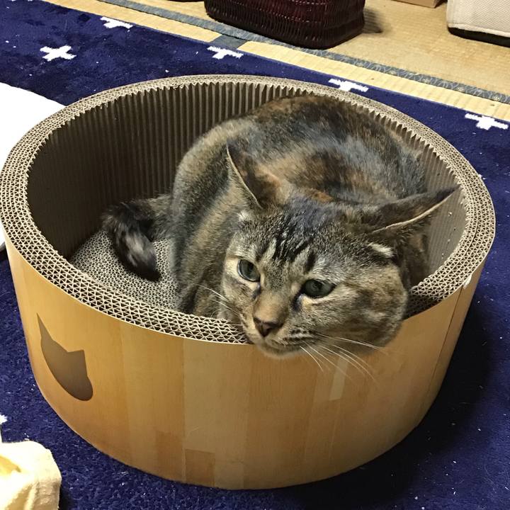 4bf3eda2 ad77 4d61 af02 590e709b351b 1736859113016