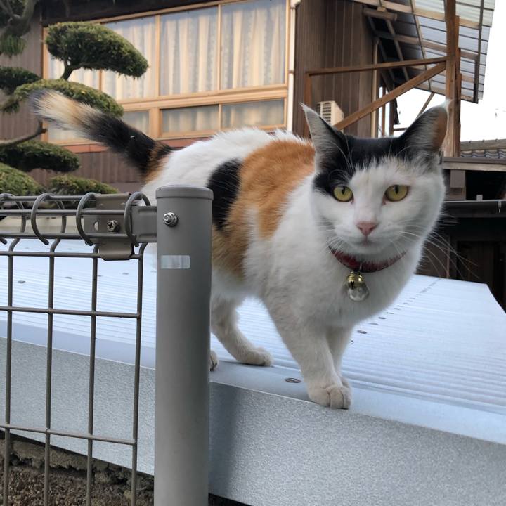 4bf3eff5 e714 41ca be71 7ef38e5ba947 1616753027752