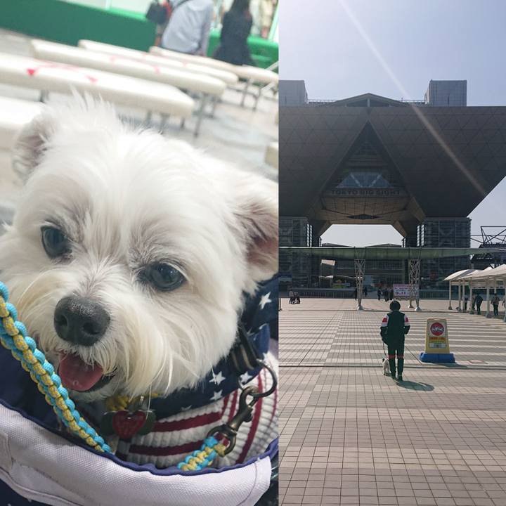 4bf4414b 7a10 41a1 9476 b12aabb71f4e 1617448240944