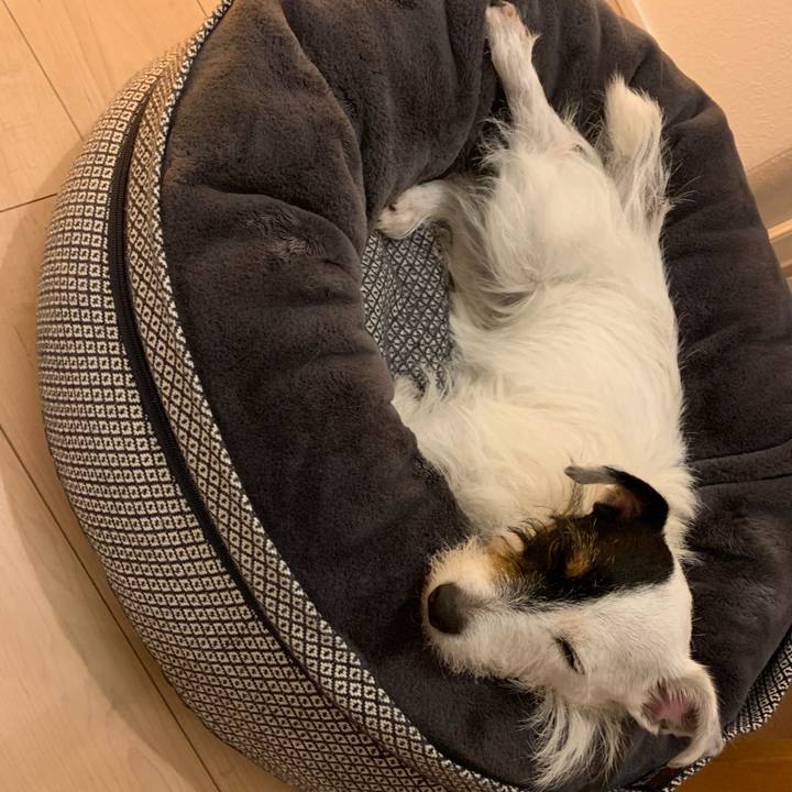 4bf4ec57 b0d9 4f20 a299 1802dfb28e7c 1598098336214