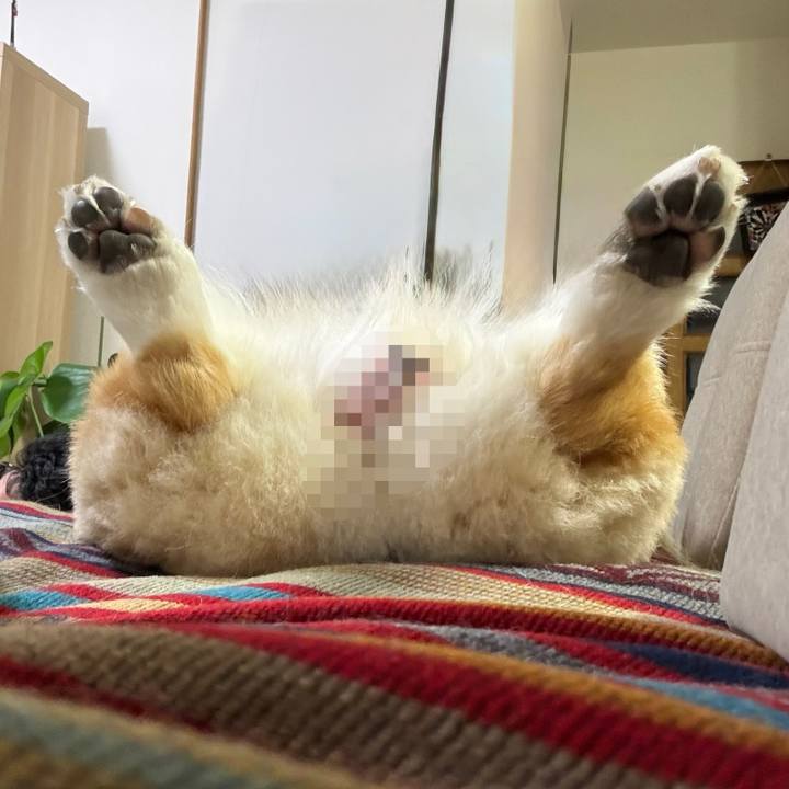 4bf4f49d 2253 4db9 9cb5 b58f43197e6a 1767444057994