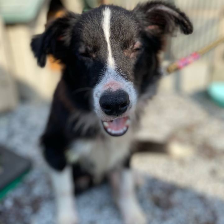 4bf503e5 a0da 472a a36c 2da651283de6 1637024334303