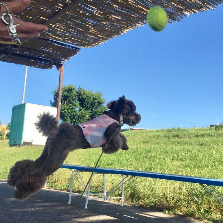 4bf5192c db18 4e74 9fb5 f91b158c4885 1530501505535