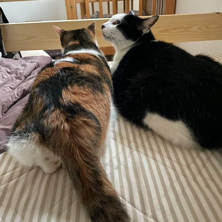 4bf539ca e54d 40e1 93a5 f97af999f654 1657917141257