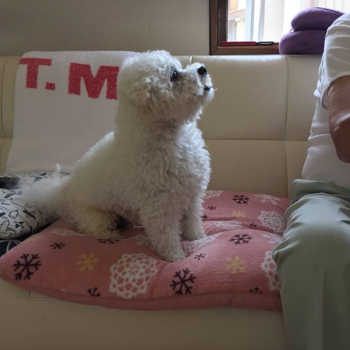 4bf572b1 819e 4d9c bec6 5163da38ce5a 1529204425266