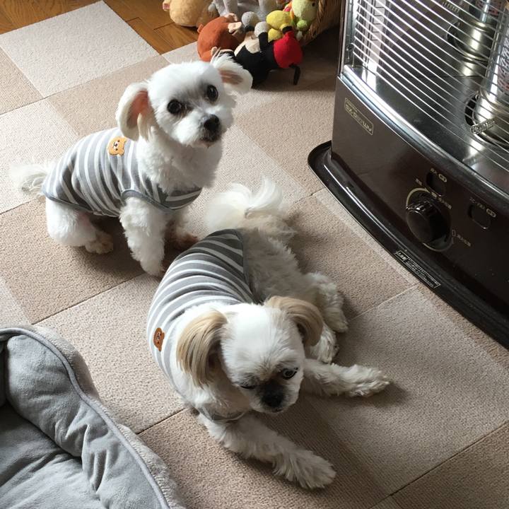 4bf59285 dee8 4183 84b2 0ecb1212f45c 1606627994244