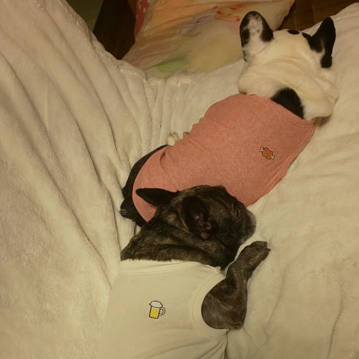 4bf59bdb e5dc 47f2 b9b8 bf084fd43b05 1683757941641