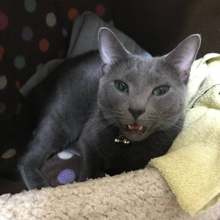 4bf5c361 9267 4d00 9591 ae1f6b05c8d2 1525785103226