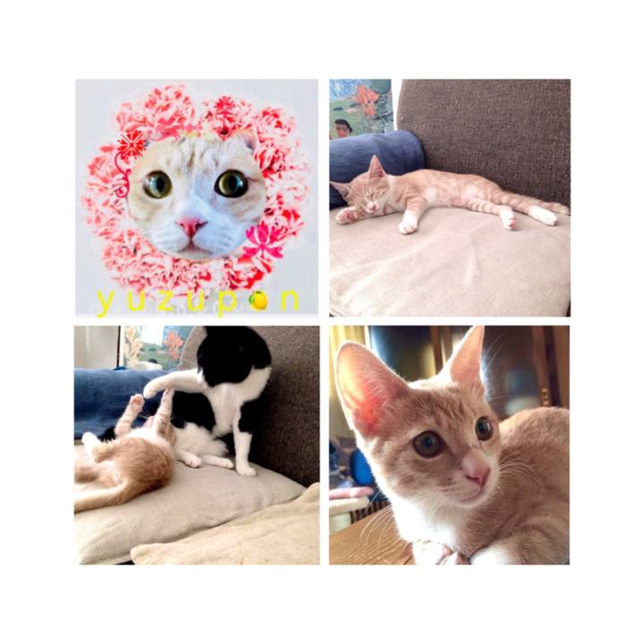 4bf5ccf4 69f8 496d 9af4 3ea62b95452b 1638959987681