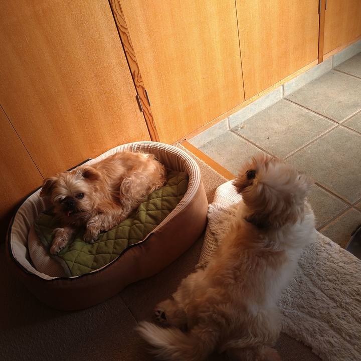 4bf5ebf2 02f6 4166 9be1 da98ebee9638 1604879230265