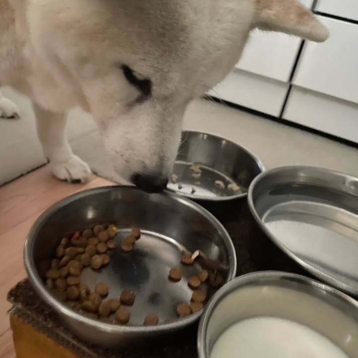 4bf601a9 76b3 49da 90f4 b06956764796 1694503233669