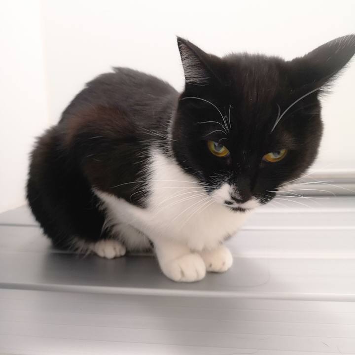 4bf60545 5fc8 4e3e bbb4 196b9bfc6a19 1544628995976