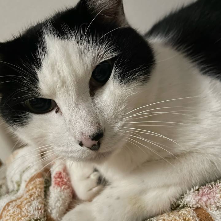 4bf60c9d f18d 4e09 bb0c f7a9456f5f20 1670951014768