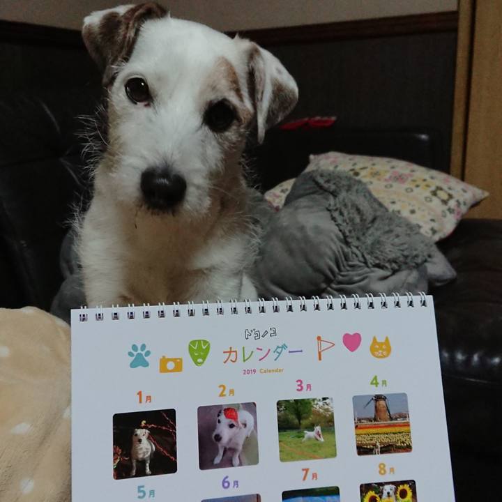 4bf65c0b 19b4 446e a89f 4def4eda0c85 1546171323795