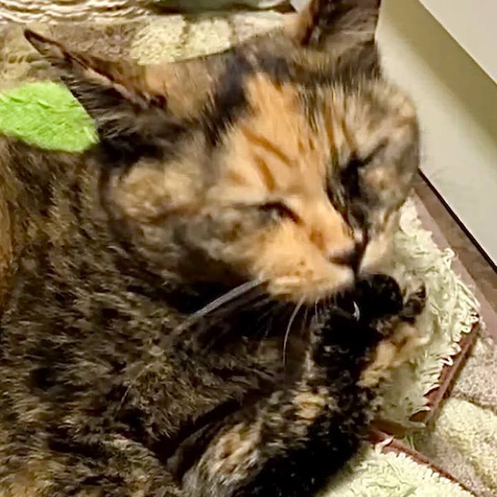 4bf66d56 46e4 4e42 98e0 7a802c3f7870 1729416802725