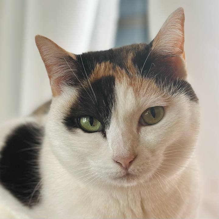 4bf69ec8 f1d6 4ccb bfeb 30ba03263883 1673662893398