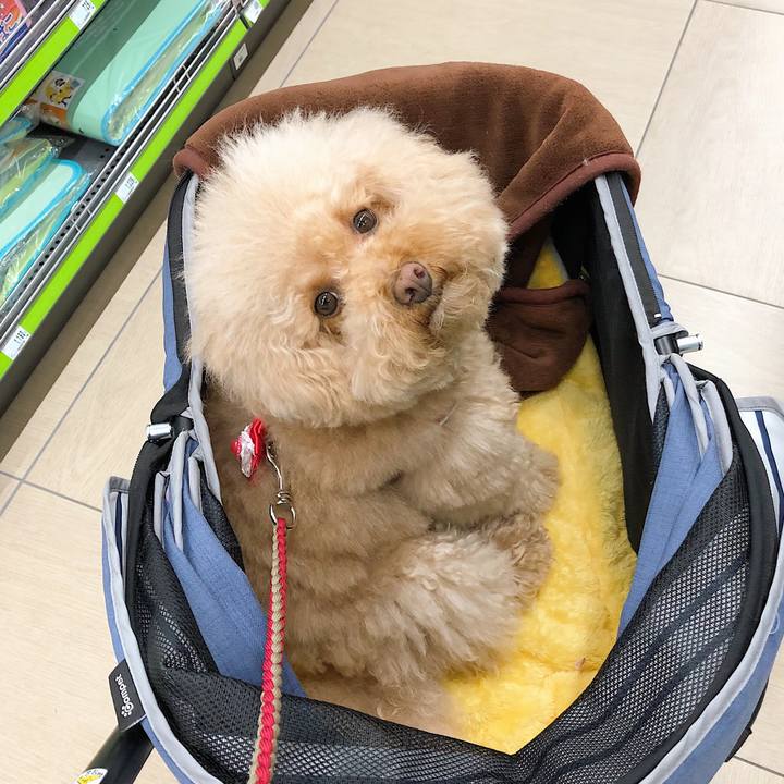 4bf6c651 bb8d 4469 a807 c1a4eac6a36c 1522734586876