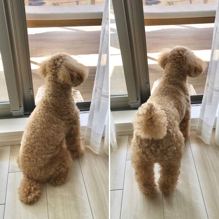 4bf6ec11 2626 458f b609 d98108f3af87 1539403096894