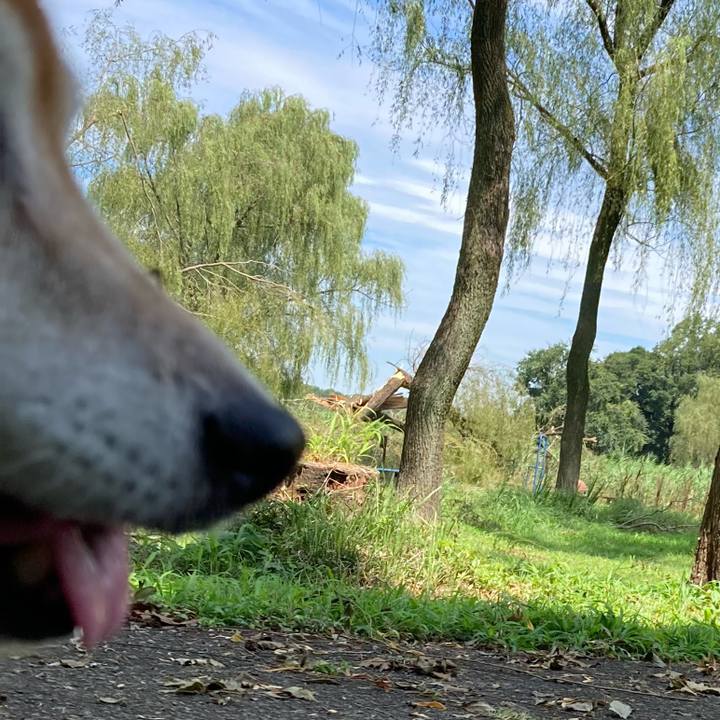 4bf709f8 1e0c 4885 bcaa a1fb3525307b 1721969878642