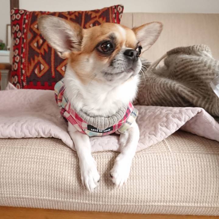 4bf7167f 6de2 4c22 bc5d 33b6e0f2a372 1587100735402