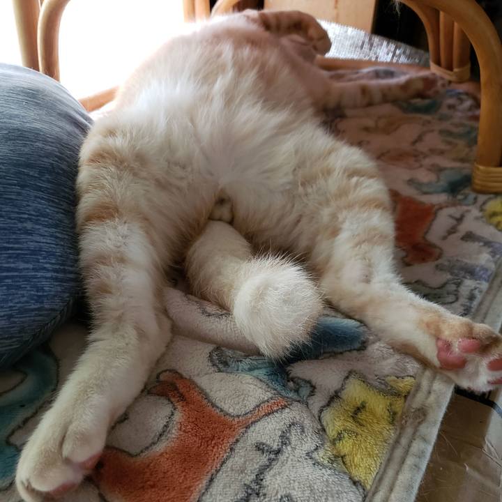 4bf727ac ce2b 4bd8 b770 c8357c1579bc 1623560139992