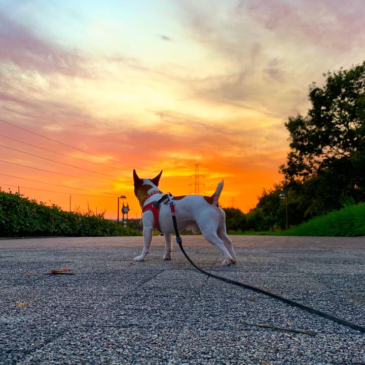 4bf73552 d4ff 4c8c bbbb 554cfd9e3cf2 1570358850000