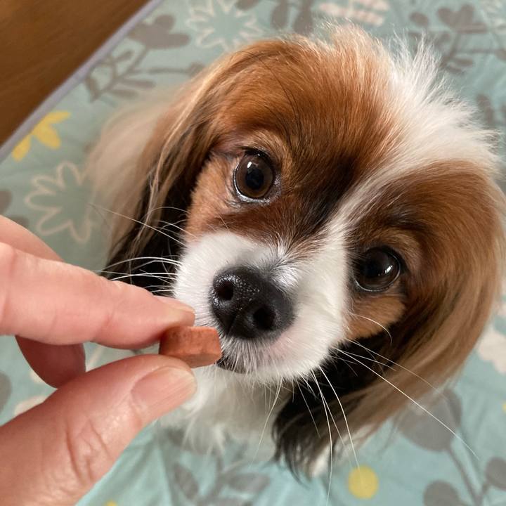 4bf735ce 79bc 455c bc42 9a08ff93dcdc 1685921015471