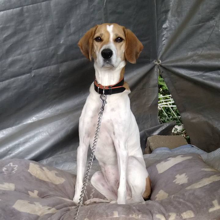 4bf74d9c a5a7 4c48 8ead 7602965eef25 1634650604910