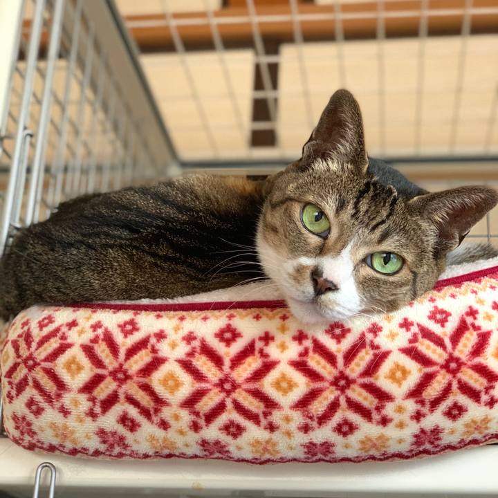 4bf7700b 2b89 4079 b92f 9174ee6ee376 1589417987573