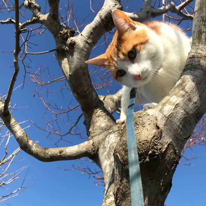 4bf77354 6e05 44a4 a88e 99e760942d1d 1517461958250