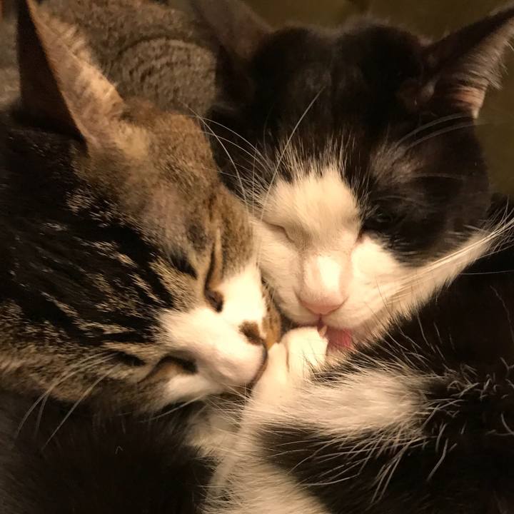 4bf77eca f380 4ebb 8261 b53b2ee2d4bb 1517561201870