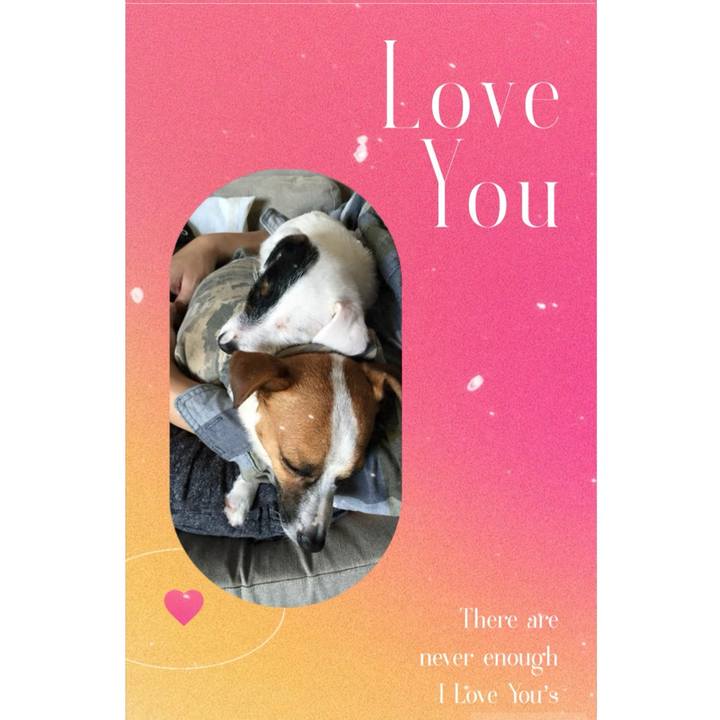 4bf7a7c8 577c 4ac1 bdfc 2405c07ad9d3 1707864655859