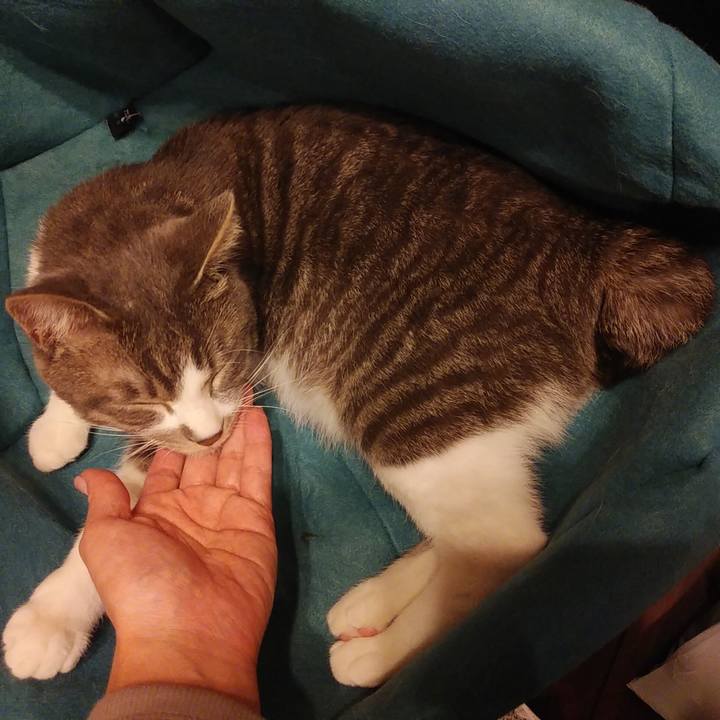 4bf7fa06 661c 44d1 b8f4 342551eb016a 1583078374881