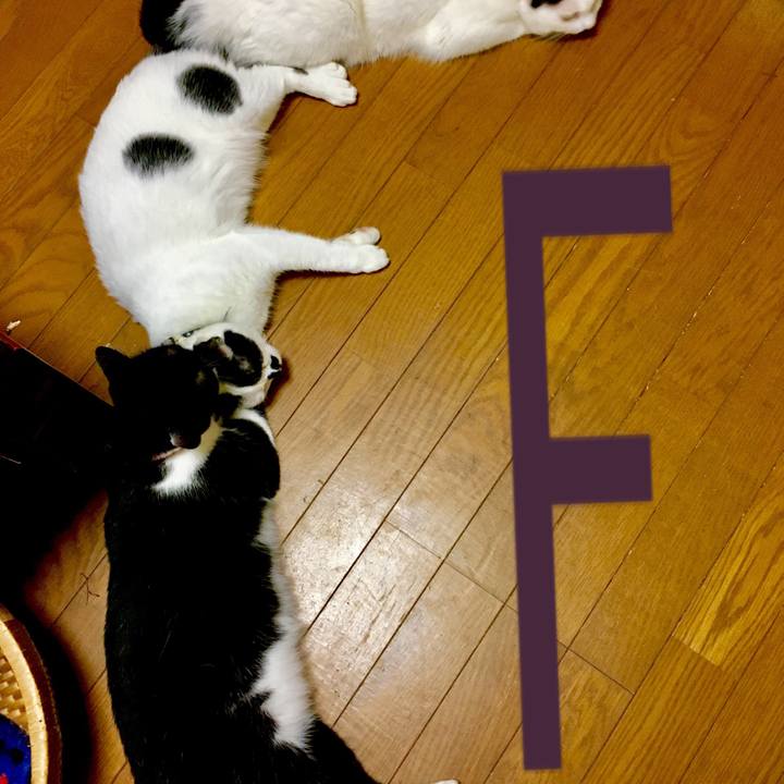 4bf819cf 6516 4749 ae63 54513adf931d 1533453918198