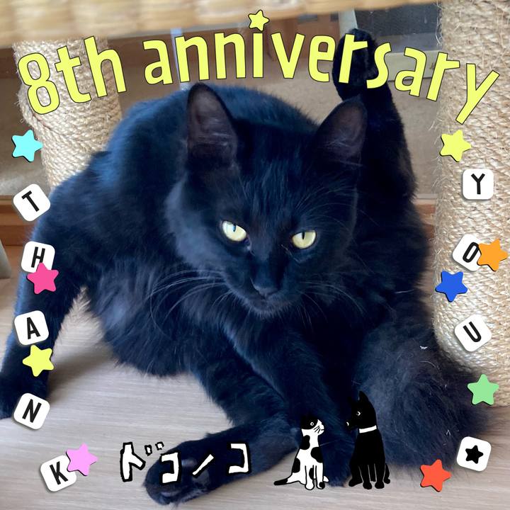 4bf81e9c 36e2 4672 aa43 d31cee297e14 1717571121272