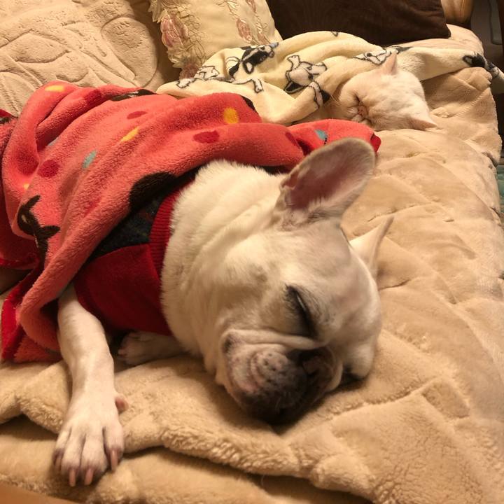 4bf82086 39e3 4415 943b 42a6589ac626 1669551412502