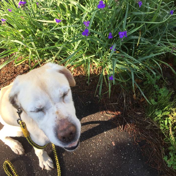 4bf85f9d 3360 46b4 8f9d 0081ffa8347f 1568520979388