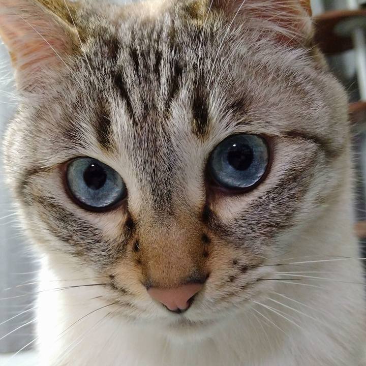 4bf890b3 14c2 4898 81e0 16fd18cef23b 1618137956019