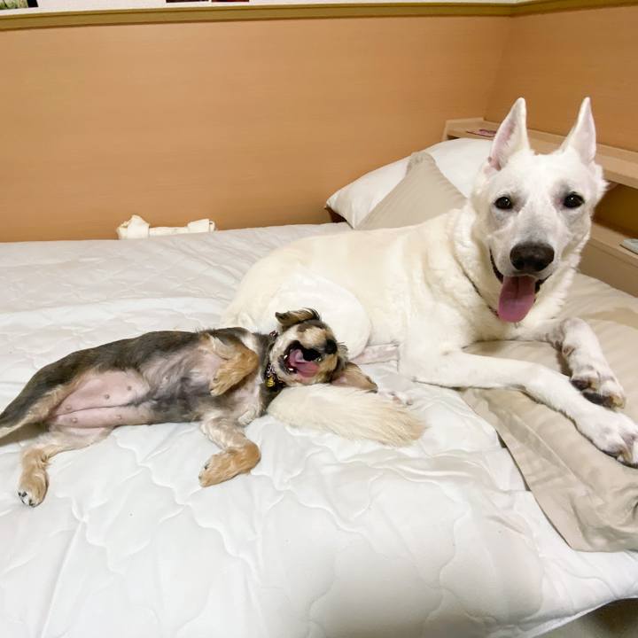 4bf8cb14 79a1 4b8f 89cc 771e7bbcc2a0 1591764336703