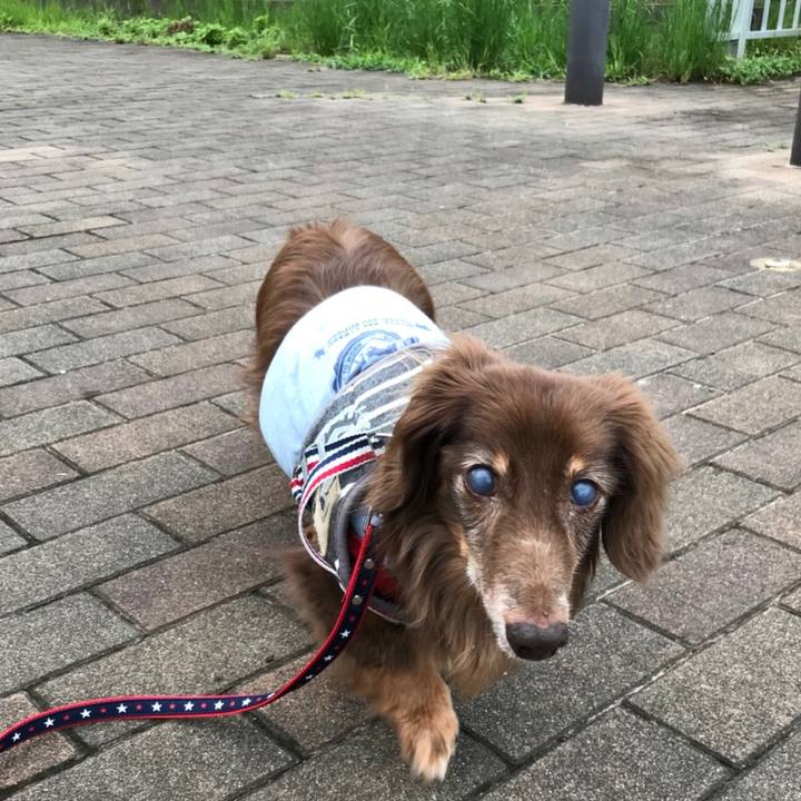 4bf9068a 59ec 4924 998f 699e915cecd7 1528843982164