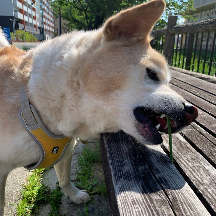 4bf91a1d 3816 4acc b35d 5cfb6d1fe0b5 1620014935623